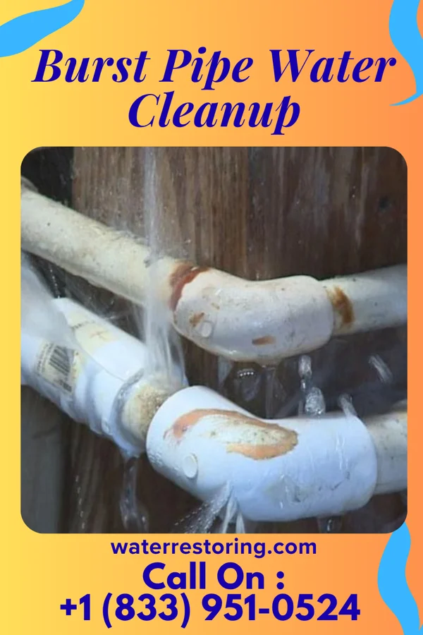 Burst Pipe Water Cleanup in Chapman, KS