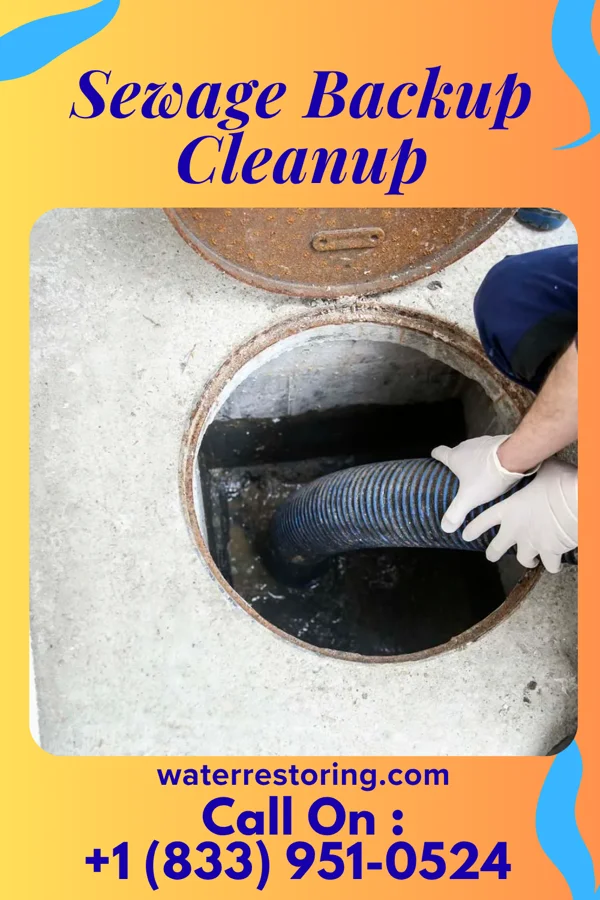 Sewage Backup Cleanup in Chapman, KS